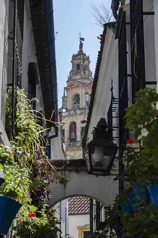 Córdoba 136 - la Juderia - calleja de las Flores.jpg